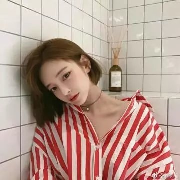 我可爱的宾杜